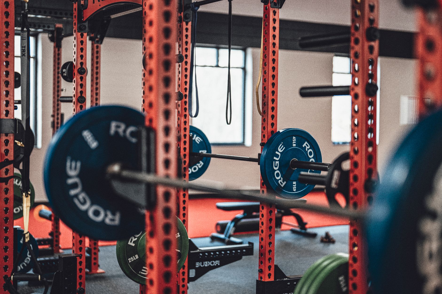 Musculation : le matériel pour débuter